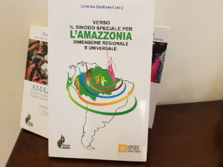 Proceedings of the Seminar “Toward the Special Synod for the Amazon: Regional and Universal Dimensions.”